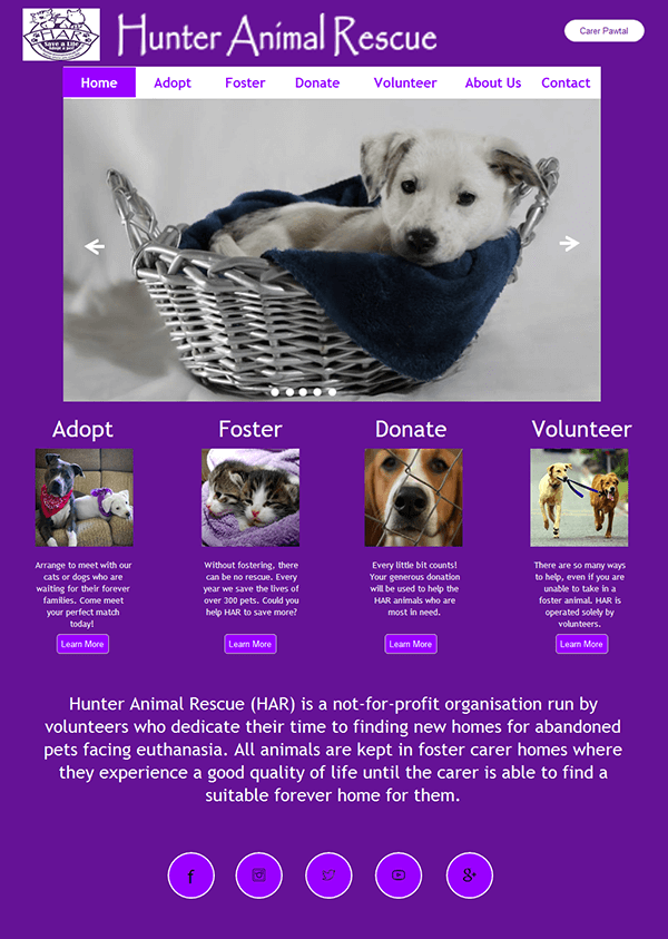 Hunter Animal Rescue Mockup Home Webpage